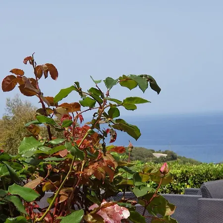 Acquaviva Park Bed and Breakfast