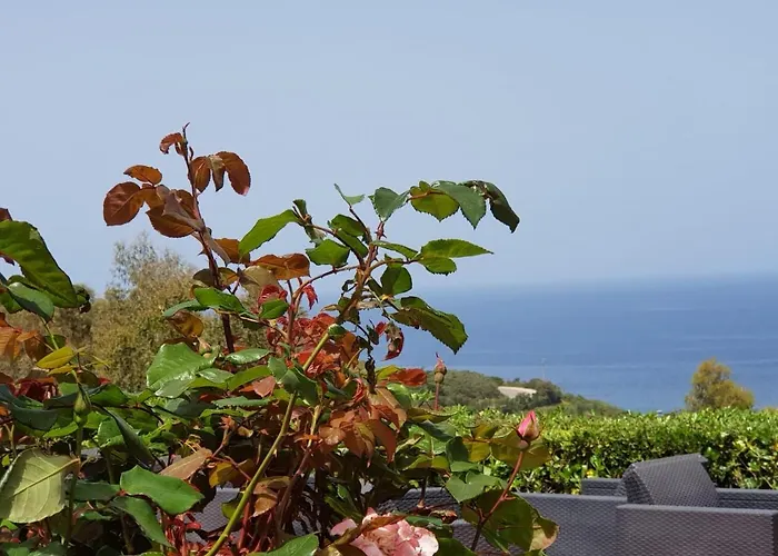 Acquaviva Park Bed & Breakfast